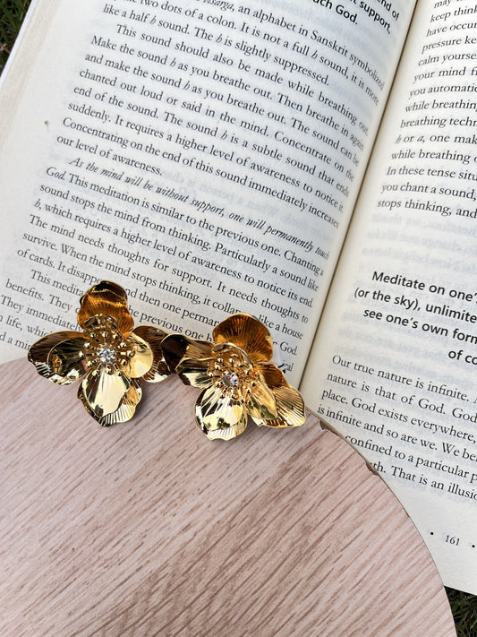 Gold-Tone Crystal  Stud Earrings